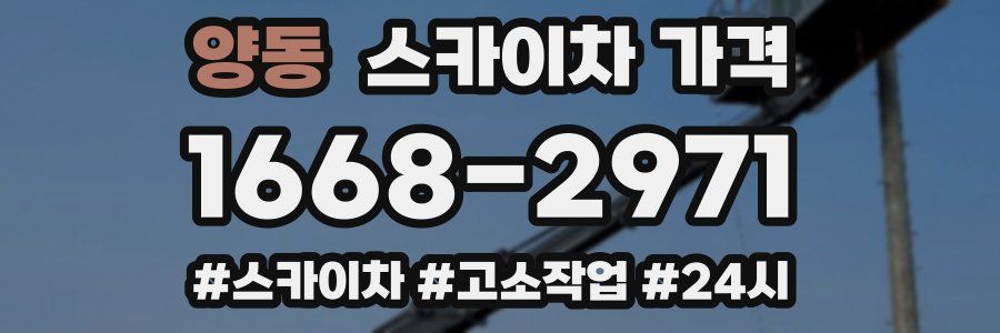 양동 스카이차 가격