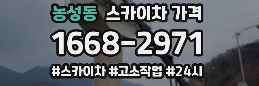 농성동 스카이차 가격