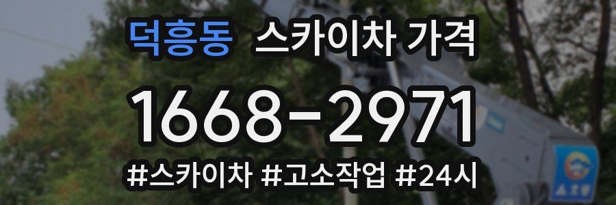 덕흥동 스카이차 가격