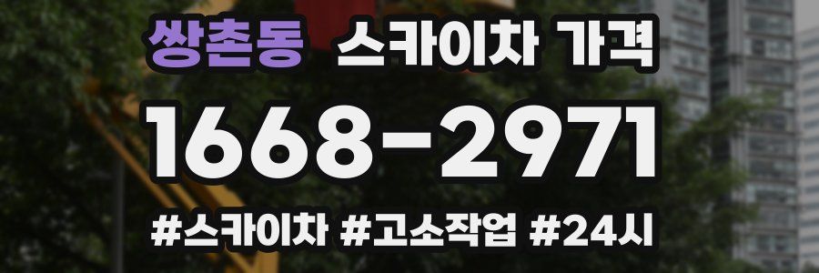 쌍촌동 스카이차 가격