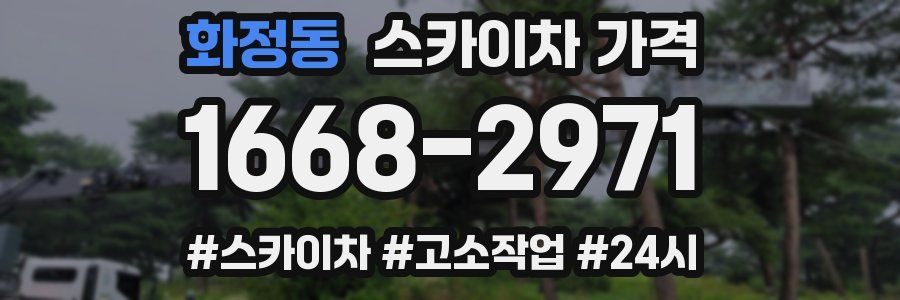 화정동 스카이차 가격