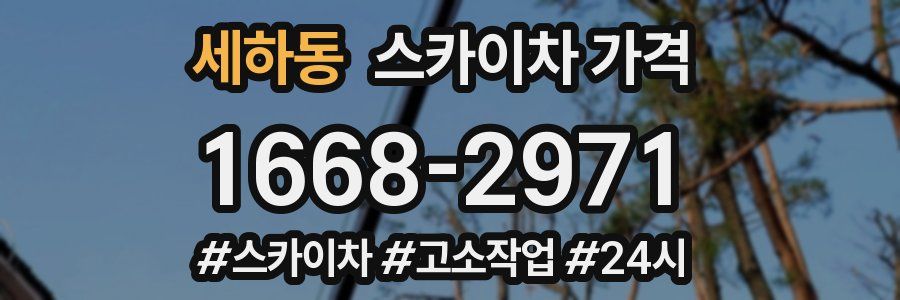 세하동 스카이차 가격