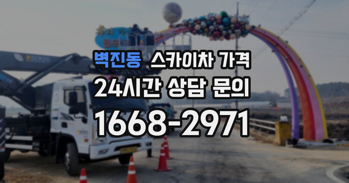 벽진동 스카이차 가격