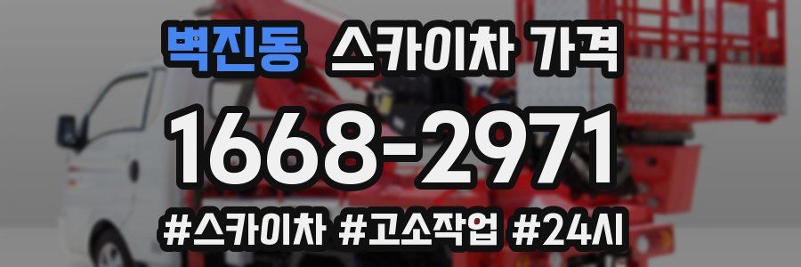 벽진동 스카이차 가격