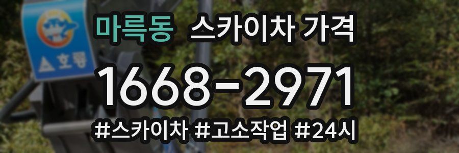 마륵동 스카이차 가격