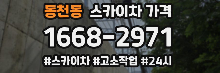 동천동 스카이차 가격