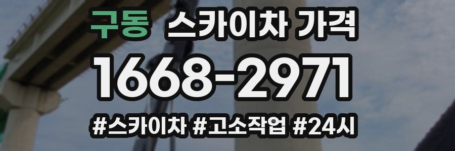 구동 스카이차 가격