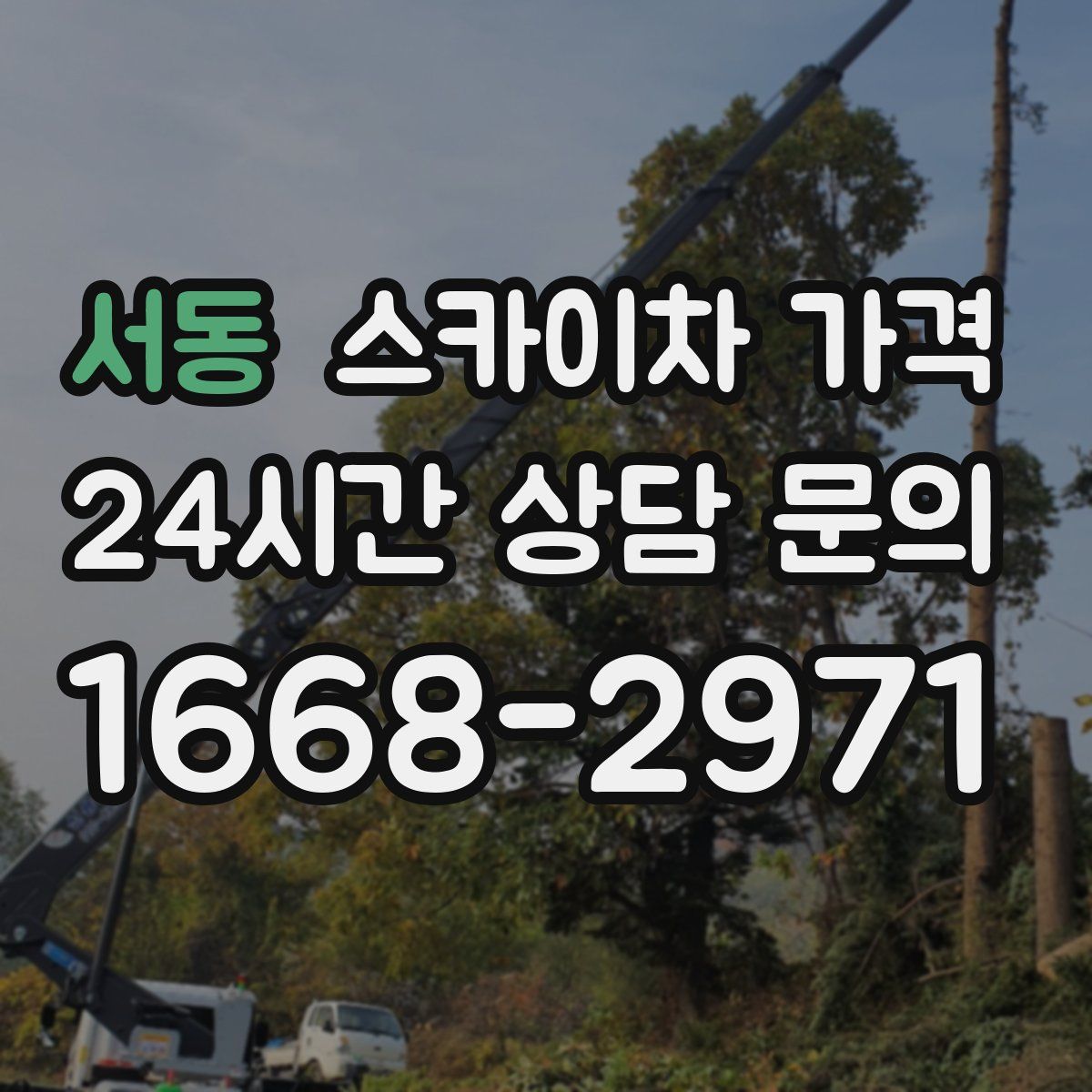 서동 스카이차 가격