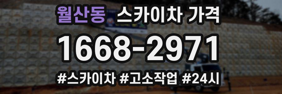 월산동 스카이차 가격