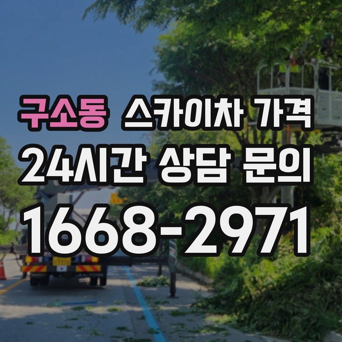 구소동 스카이차 가격 정확한 견적을 받는 가장 현실적인 방법