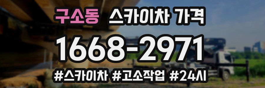 구소동 스카이차 가격