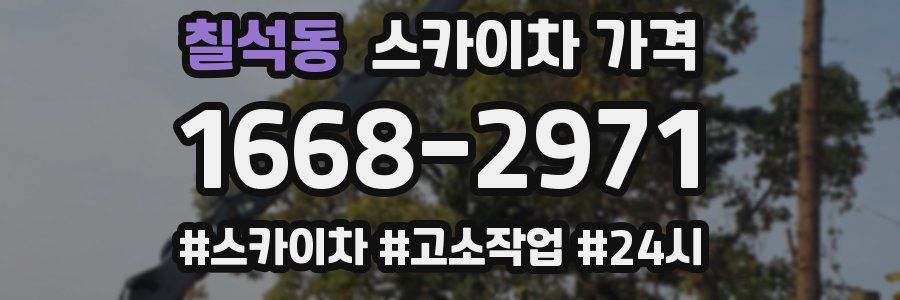 칠석동 스카이차 가격