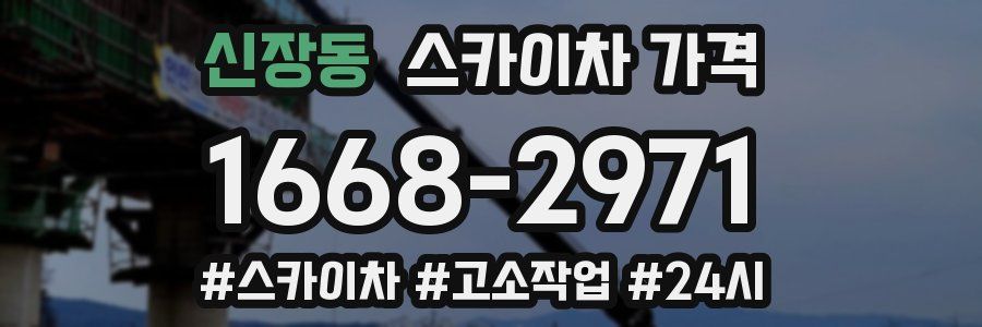 신장동 스카이차 가격