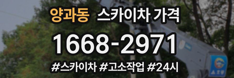 양과동 스카이차 가격