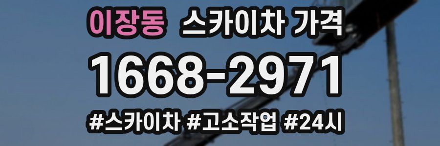 이장동 스카이차 가격