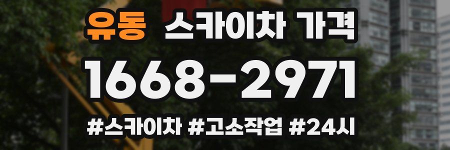 유동 스카이차 가격