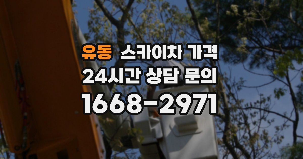 유동 스카이차 가격