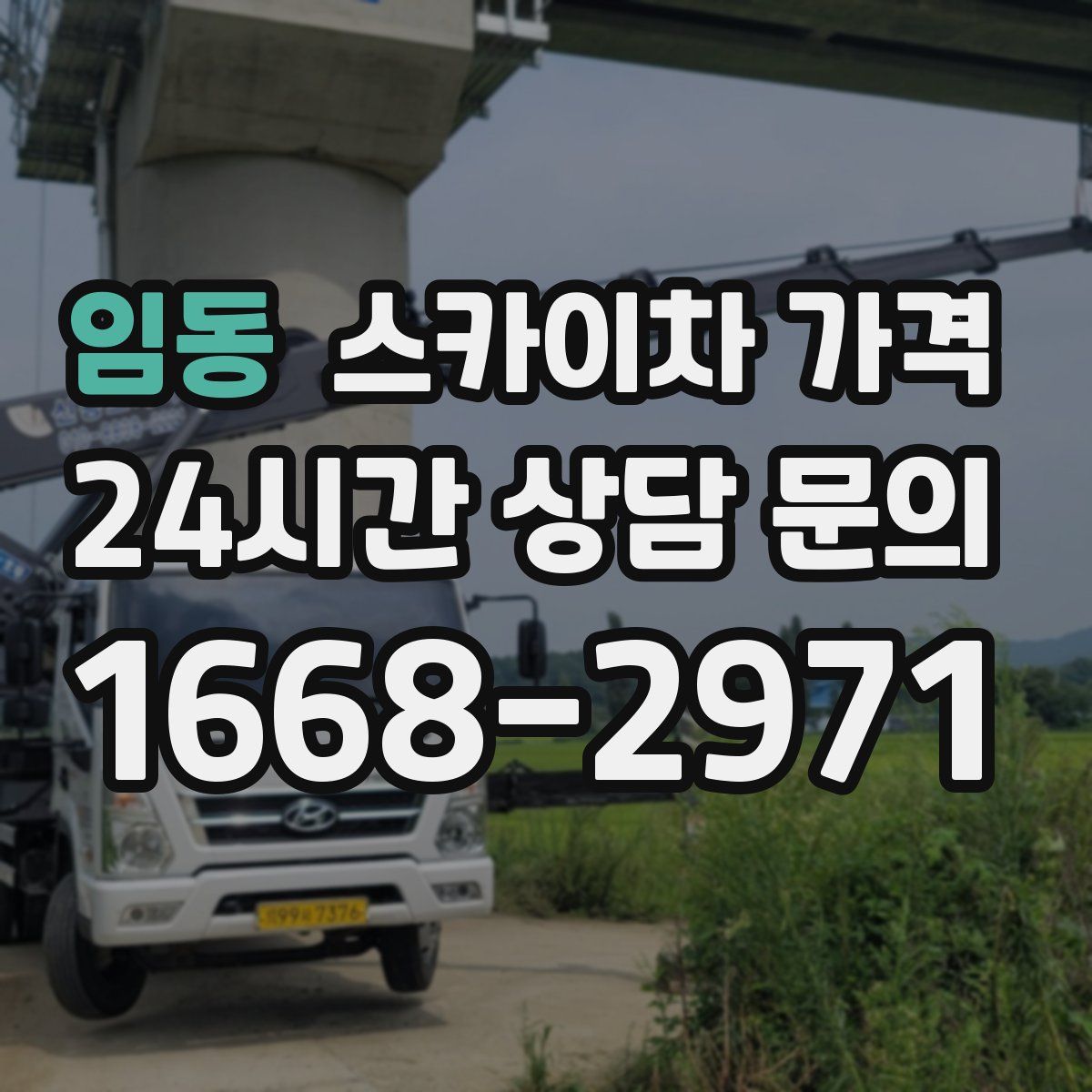 임동 스카이차 가격