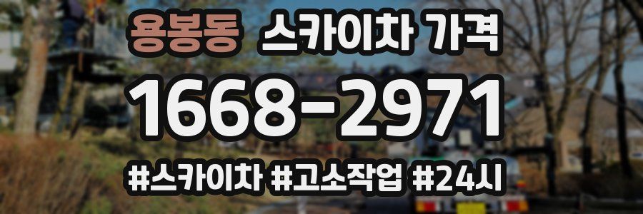 용봉동 스카이차 가격