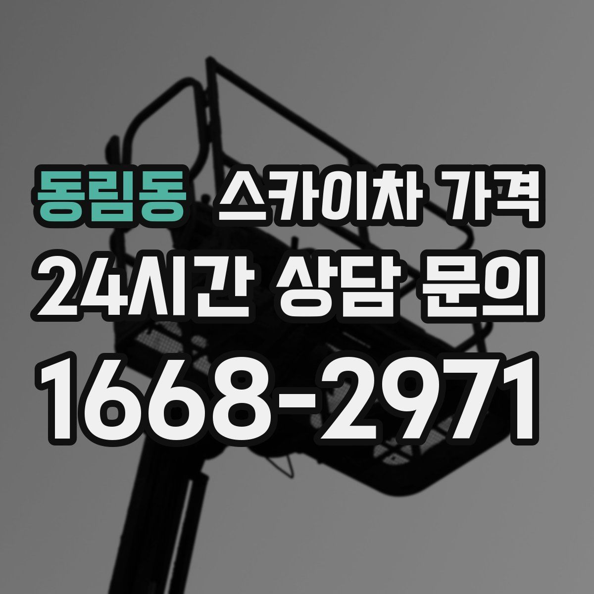 동림동 스카이차 가격