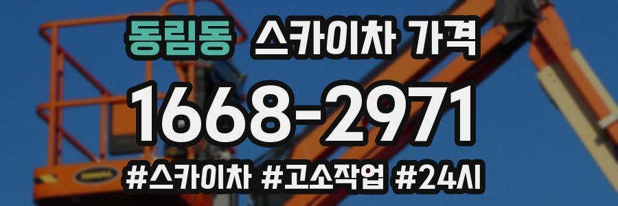 동림동 스카이차 가격