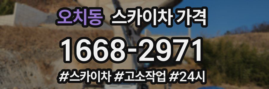 오치동 스카이차 가격