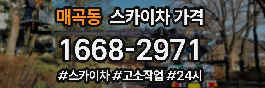 매곡동 스카이차 가격