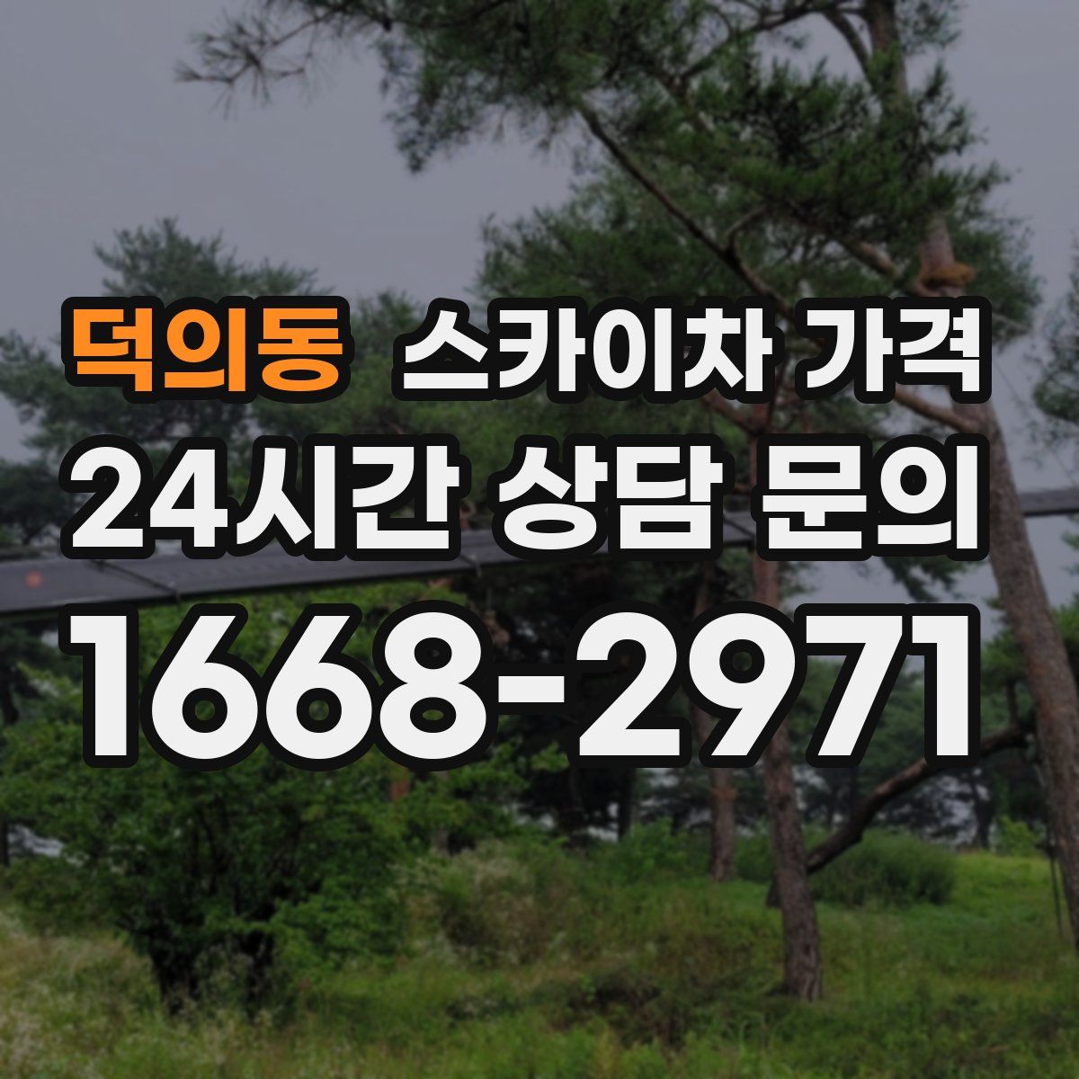 덕의동 스카이차 가격