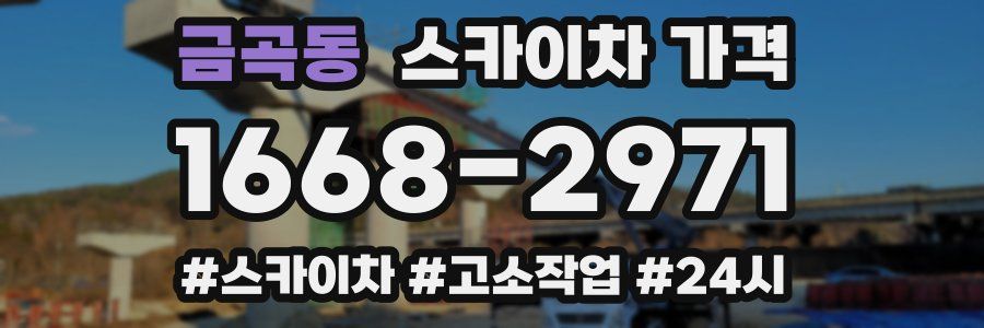 금곡동 스카이차 가격