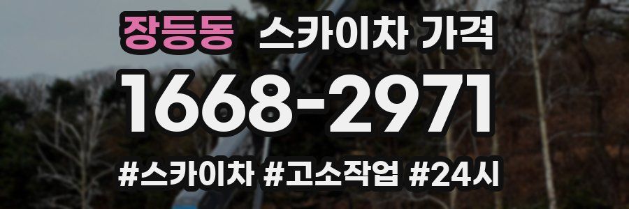 장등동 스카이차 가격