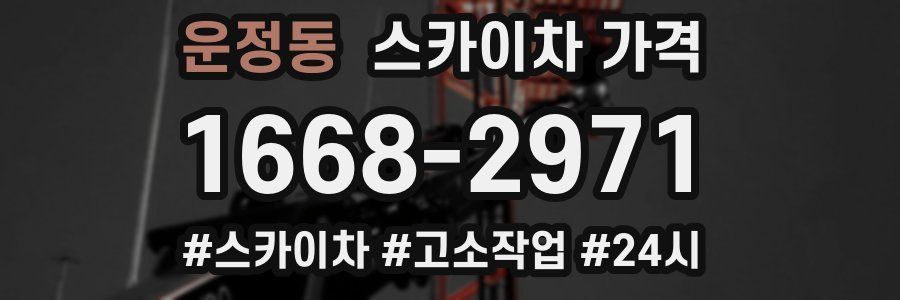 운정동 스카이차 가격