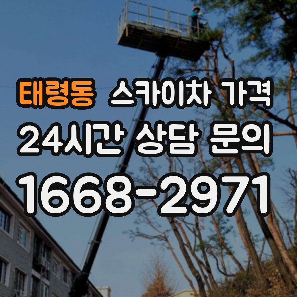 태령동 스카이차 가격 보행자 통행이 많으면 고려할 점