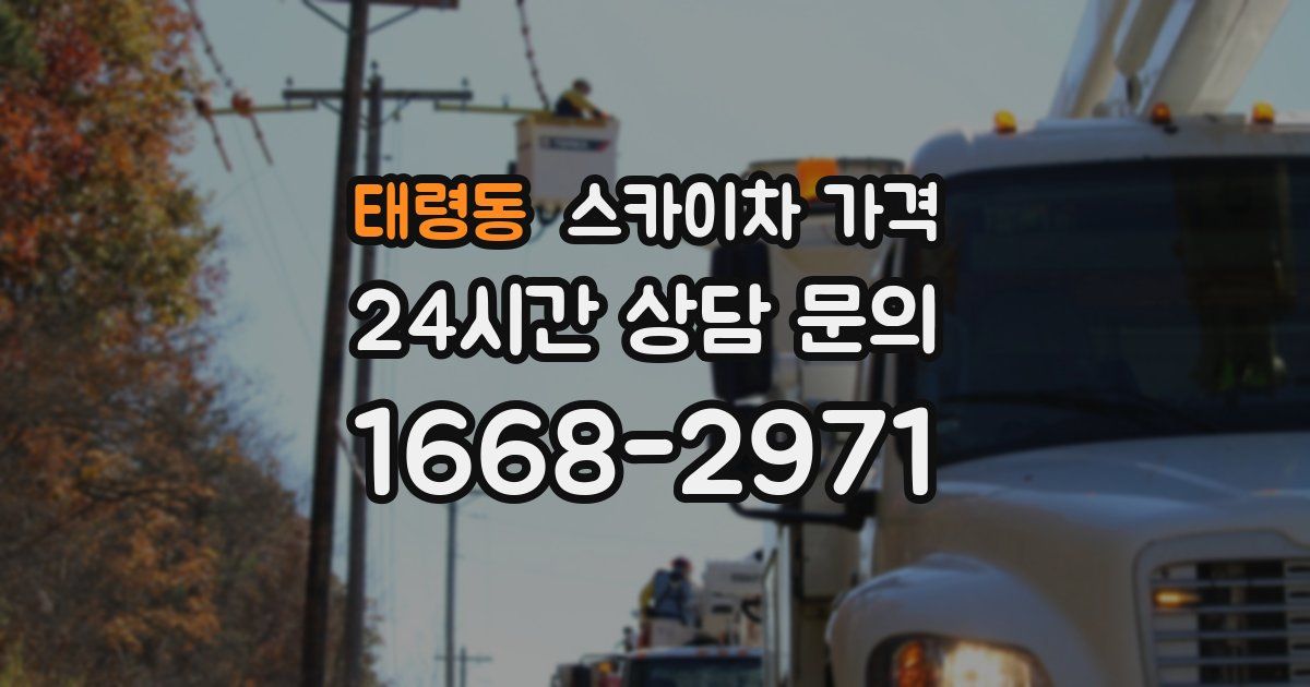 태령동 스카이차 가격