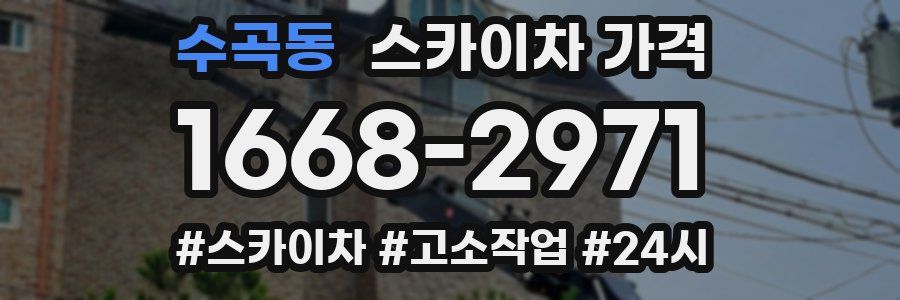 수곡동 스카이차 가격