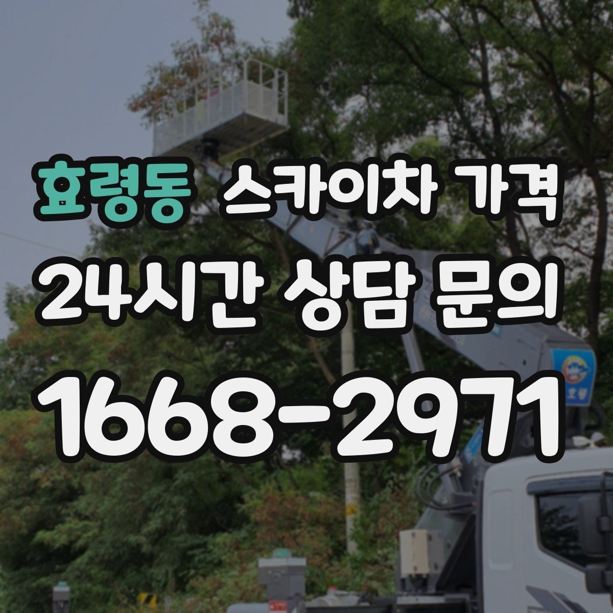 효령동 스카이차 가격 건물명·층수·작업 위치를 같이 보내세요