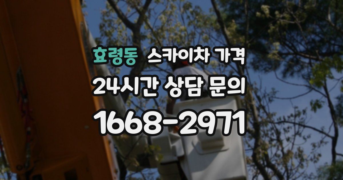 효령동 스카이차 가격