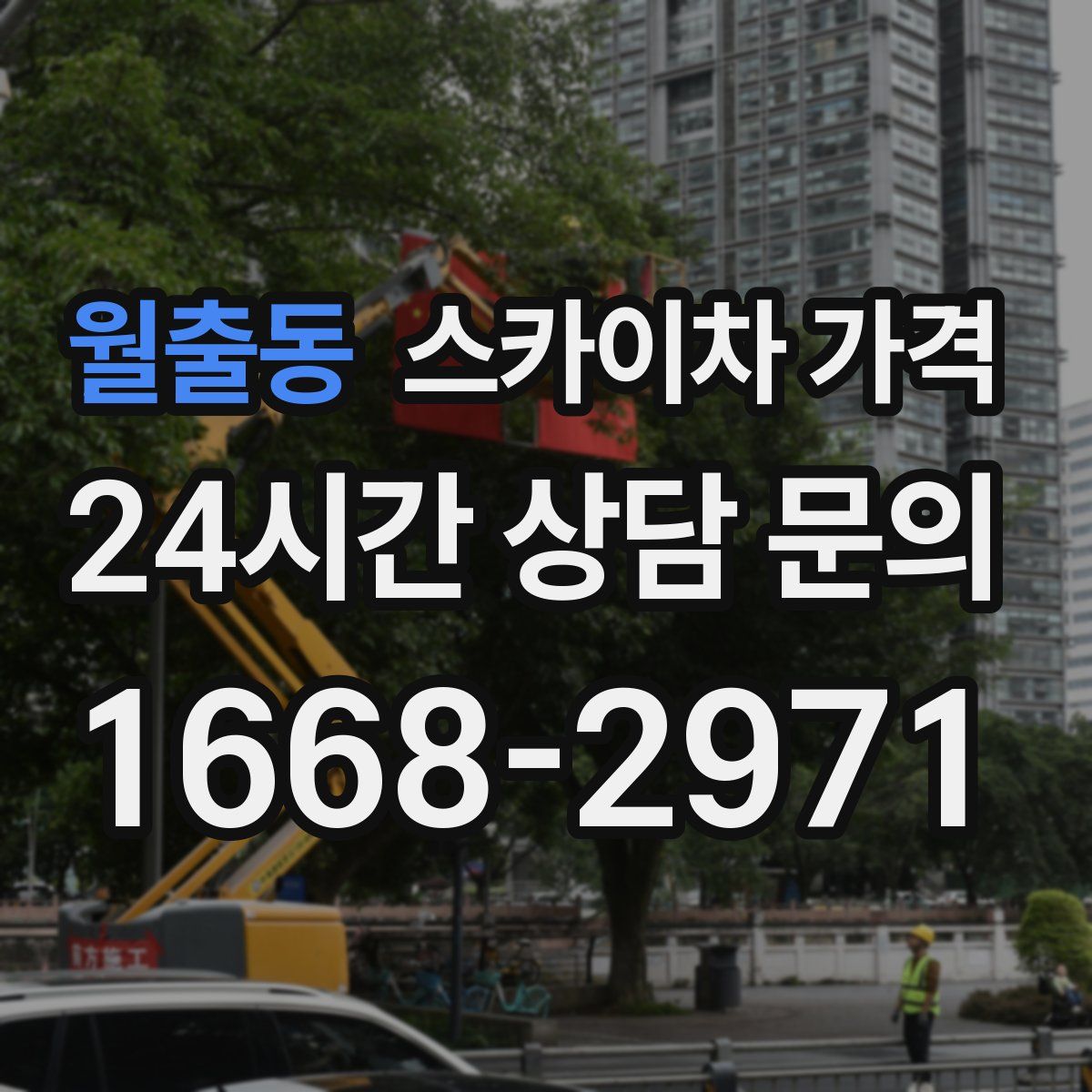 월출동 스카이차 가격