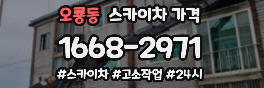 오룡동 스카이차 가격