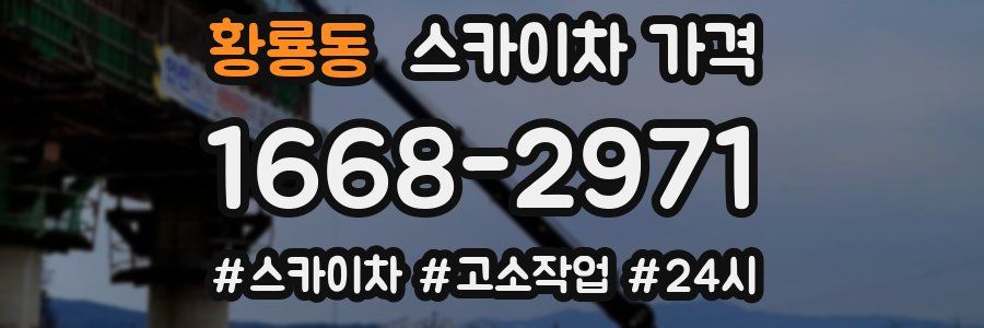 황룡동 스카이차 가격