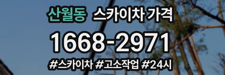 산월동 스카이차 가격