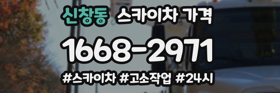 신창동 스카이차 가격