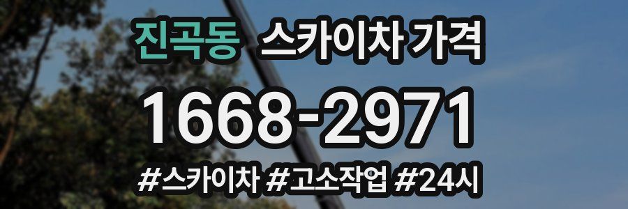 진곡동 스카이차 가격