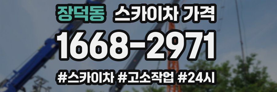 장덕동 스카이차 가격