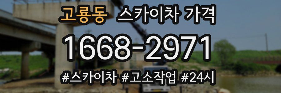 고룡동 스카이차 가격