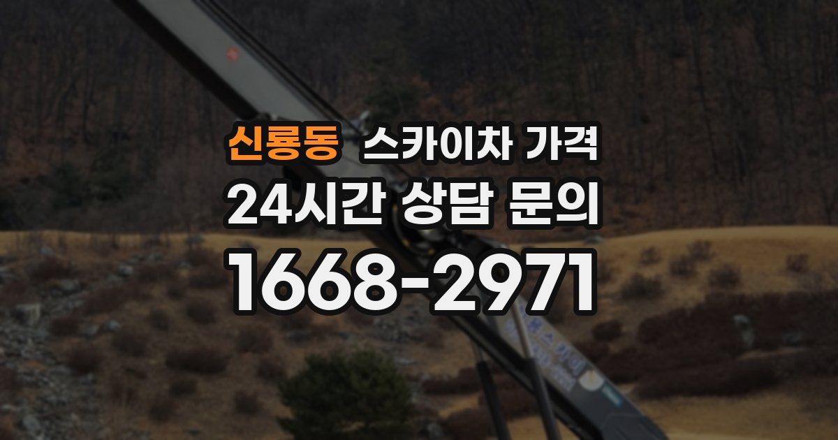 신룡동 스카이차 가격