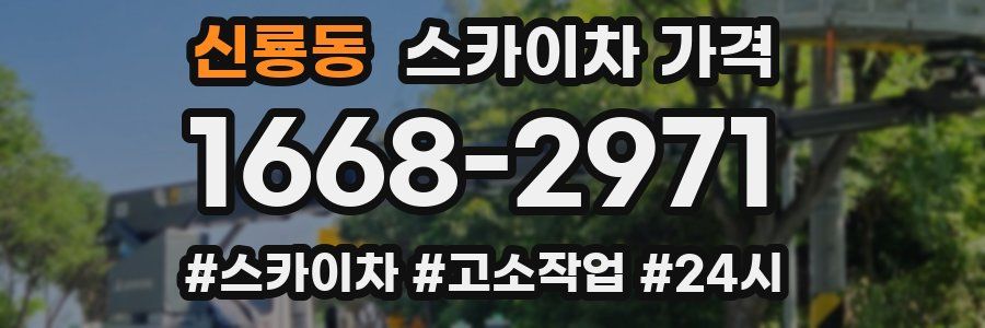 신룡동 스카이차 가격