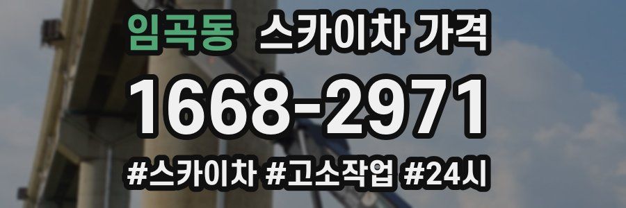 임곡동 스카이차 가격