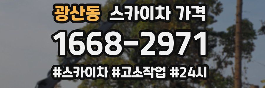 광산동 스카이차 가격