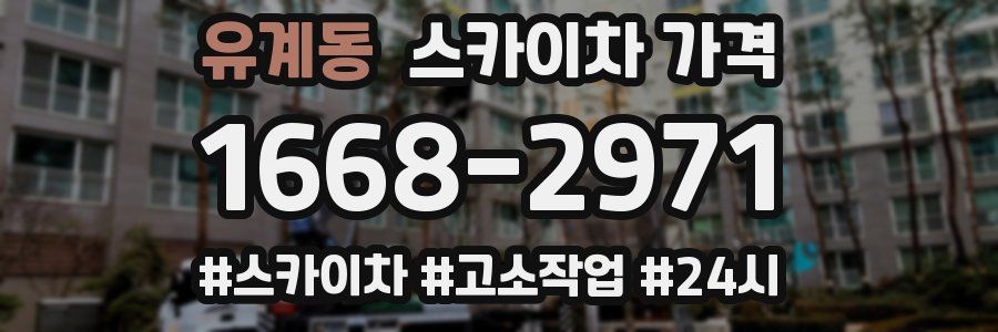 유계동 스카이차 가격