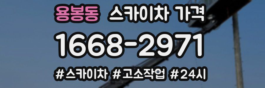 용봉동 스카이차 가격